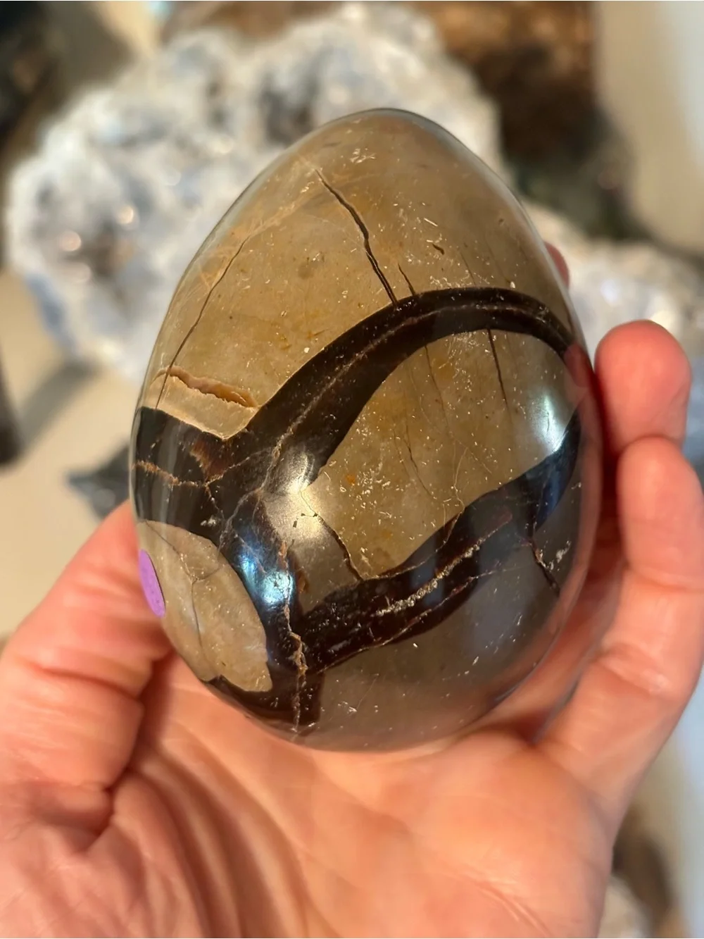 N/A striking polished